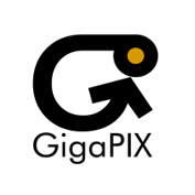 GigaPix peering