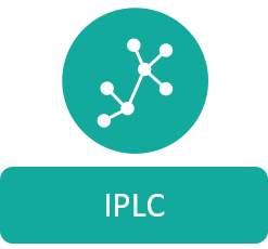 IPLC service