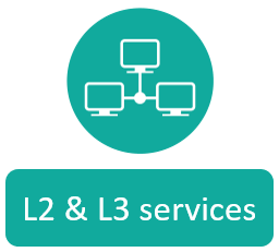L2&L3 icon