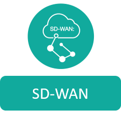 SDWAN icon