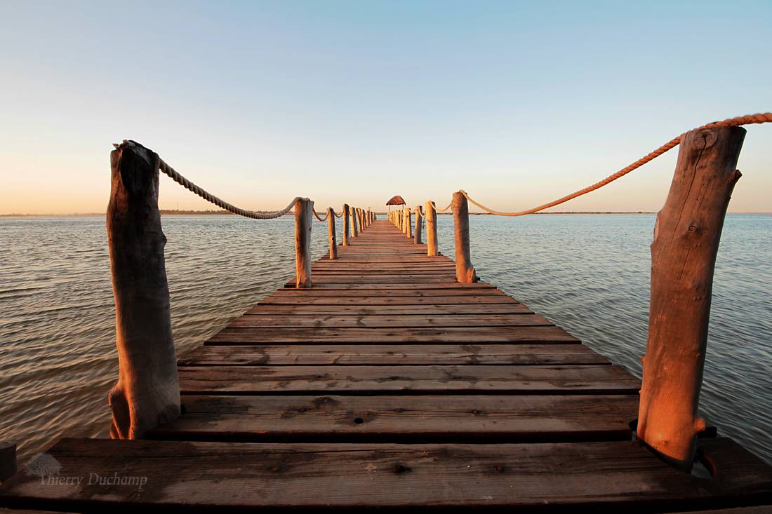 african bridge